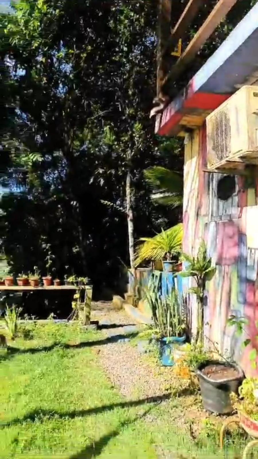 A Figueira Sagrada - Hostel Morro de São Paulo Exterior photo